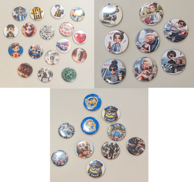 Fichier:Badges-17.png